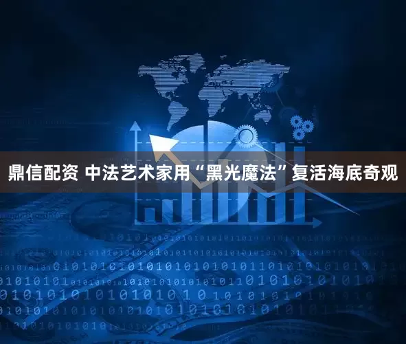 鼎信配资 中法艺术家用“黑光魔法”复活海底奇观
