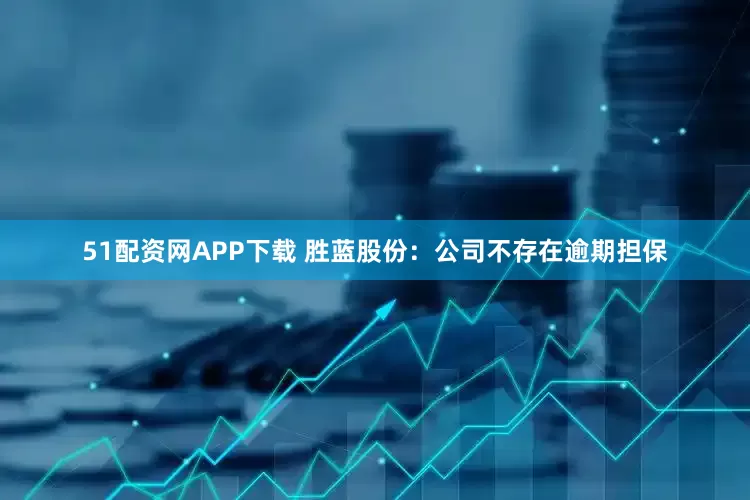 51配资网APP下载 胜蓝股份：公司不存在逾期担保
