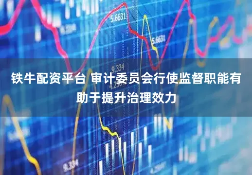 铁牛配资平台 审计委员会行使监督职能有助于提升治理效力
