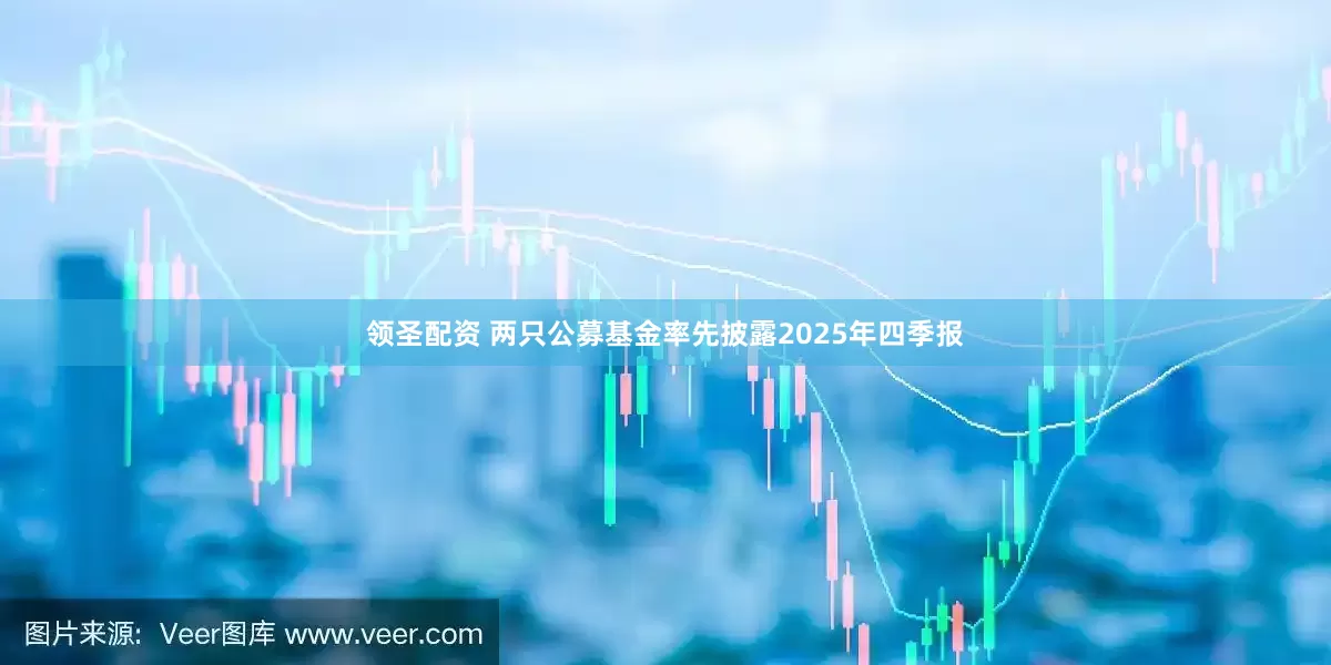 领圣配资 两只公募基金率先披露2025年四季报
